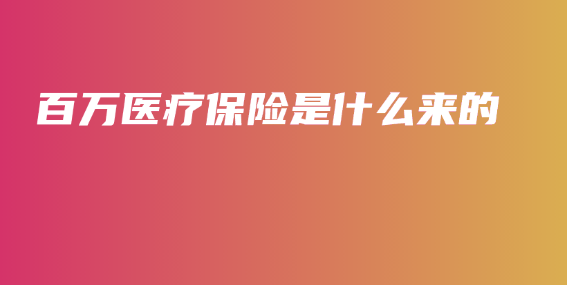 百万医疗保险是什么来的-保点通