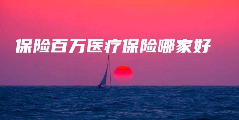 保险百万医疗保险哪家好-保点通