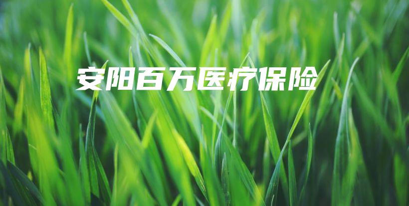 安阳百万医疗保险-保点通