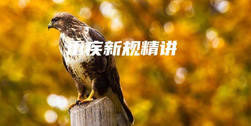 重疾新规精讲-保点通
