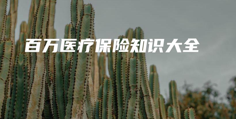 百万医疗保险知识大全-保点通