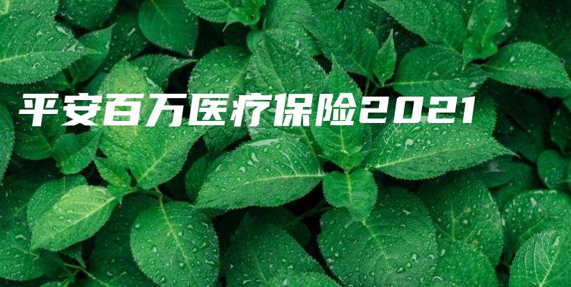 平安百万医疗保险2021-保点通