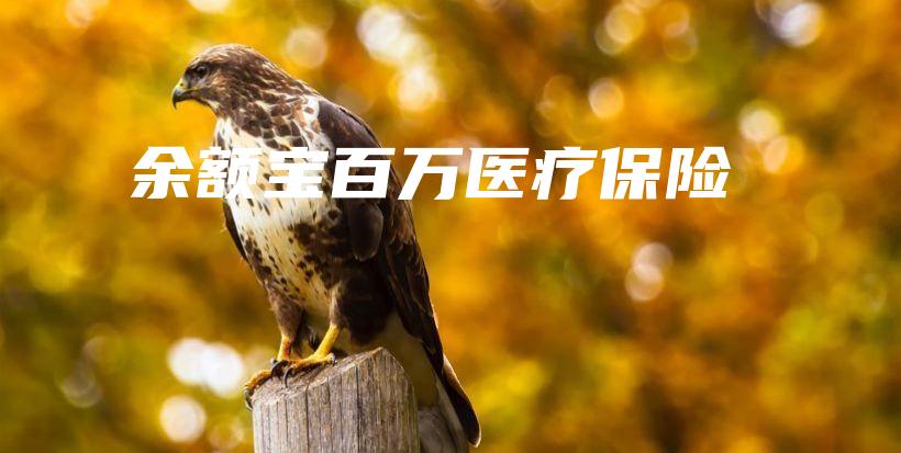 余额宝百万医疗保险-保点通