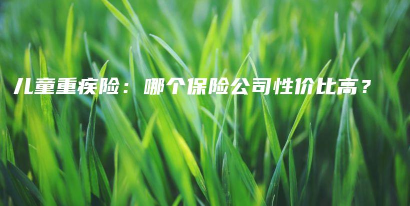 儿童重疾险：哪个保险公司性价比高？-保点通