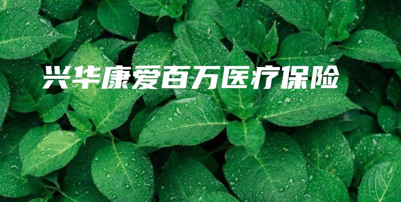 兴华康爱百万医疗保险-保点通