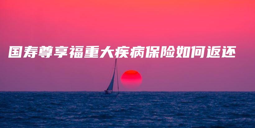国寿尊享福重大疾病保险如何返还-保点通