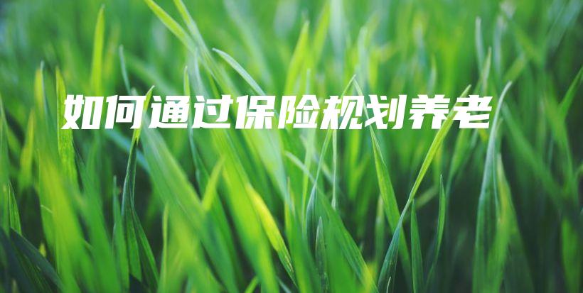 如何通过保险规划养老-保点通