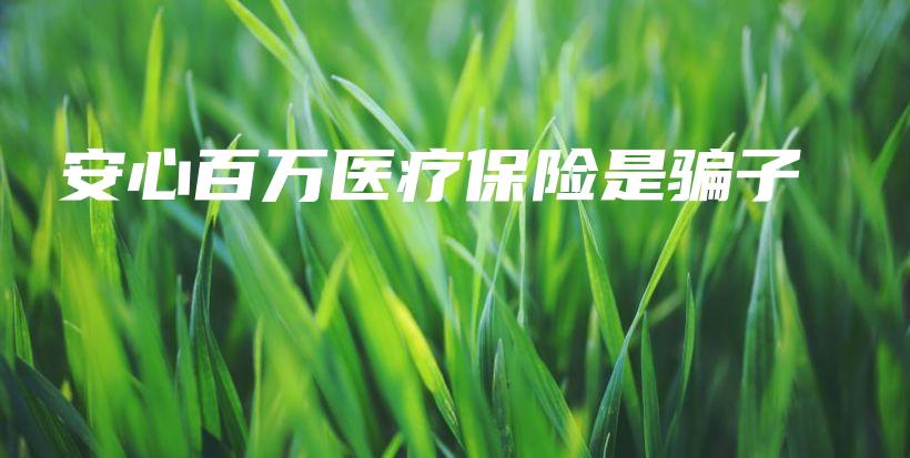 安心百万医疗保险是骗子-保点通