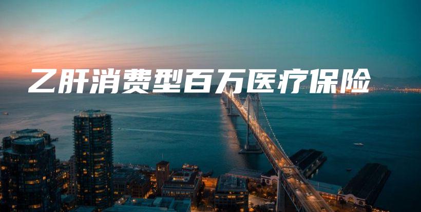 乙肝消费型百万医疗保险-保点通