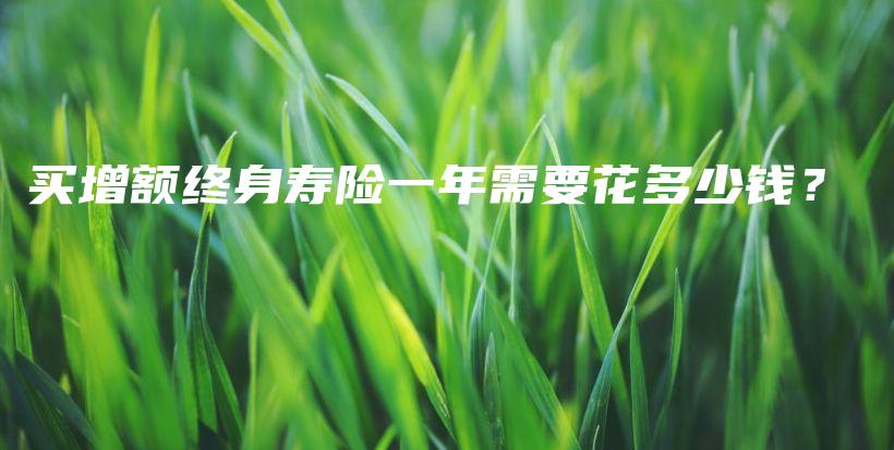 买增额终身寿险一年需要花多少钱？-保点通