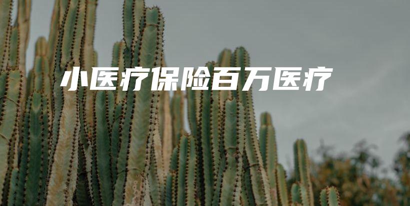小医疗保险百万医疗-保点通