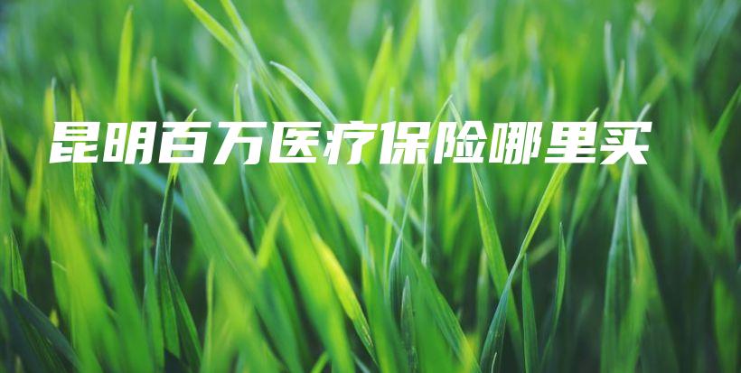 昆明百万医疗保险哪里买-保点通