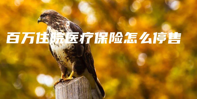 百万住院医疗保险怎么停售-保点通