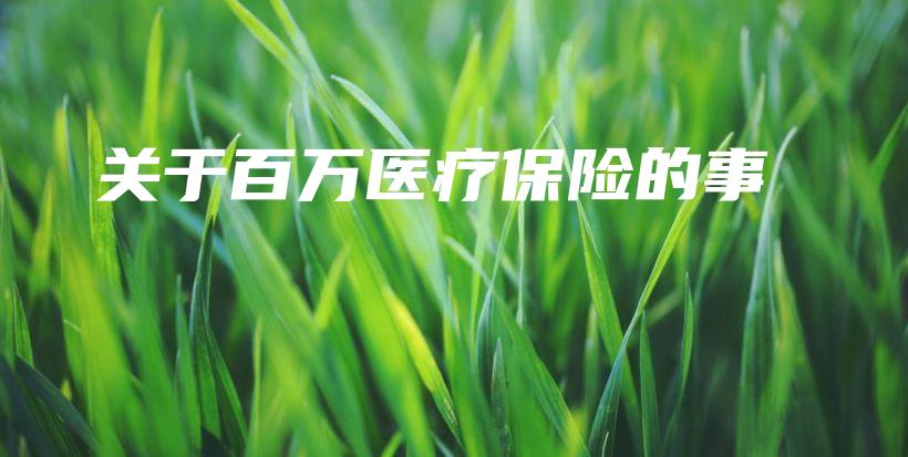 关于百万医疗保险的事-保点通