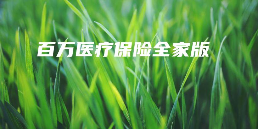 百万医疗保险全家版-保点通