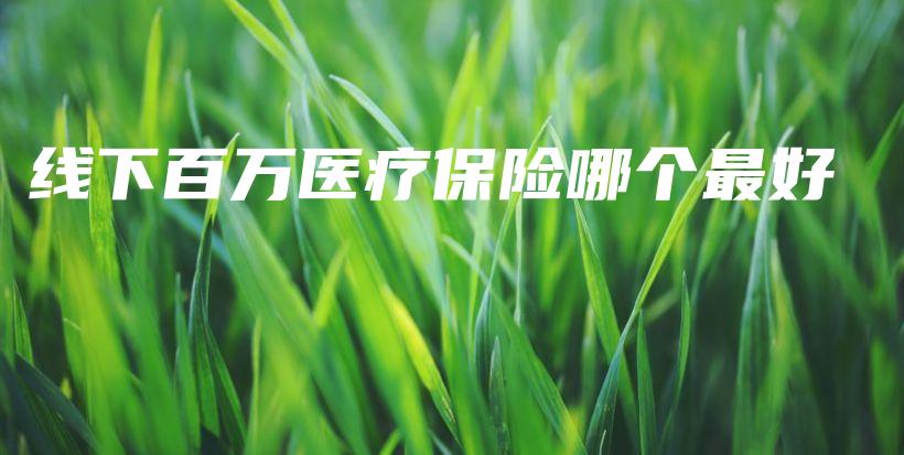 线下百万医疗保险哪个最好-保点通