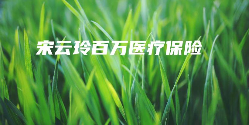 宋云玲百万医疗保险-保点通