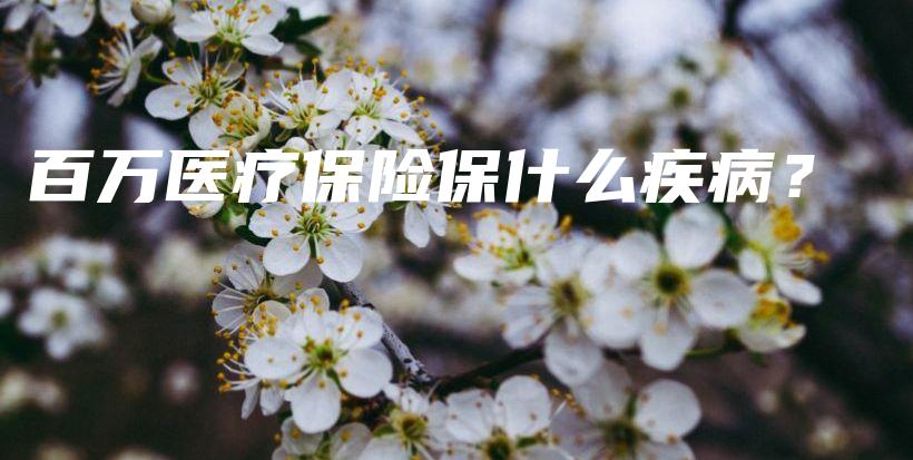 百万医疗保险保什么疾病？-保点通