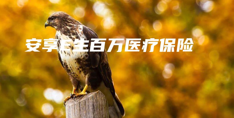 安享E生百万医疗保险-保点通