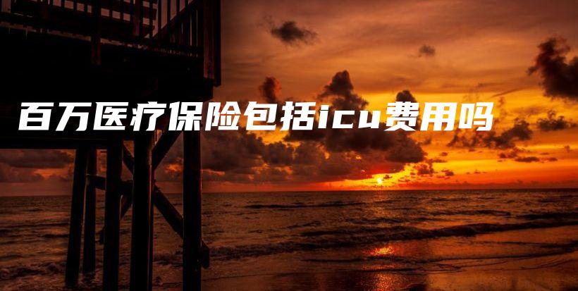 百万医疗保险包括icu费用吗-保点通