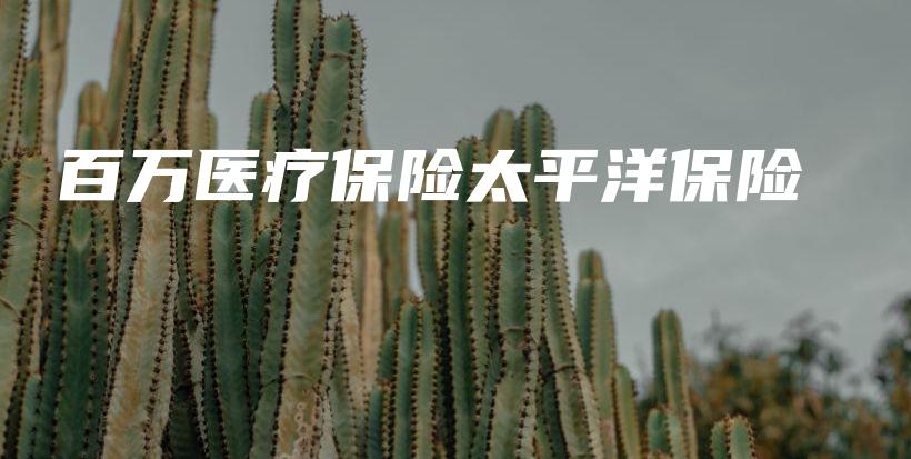 百万医疗保险太平洋保险-保点通