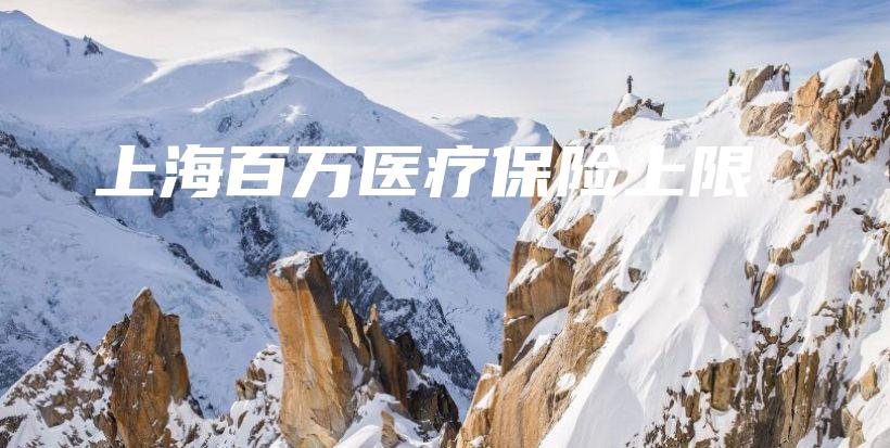 上海百万医疗保险上限-保点通