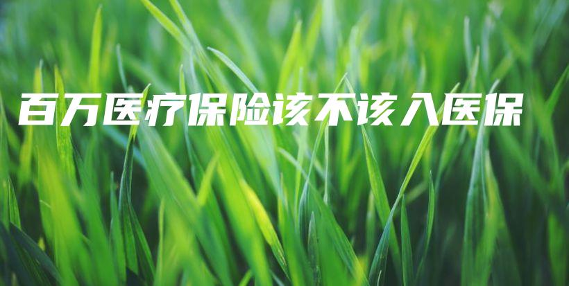 百万医疗保险该不该入医保-保点通
