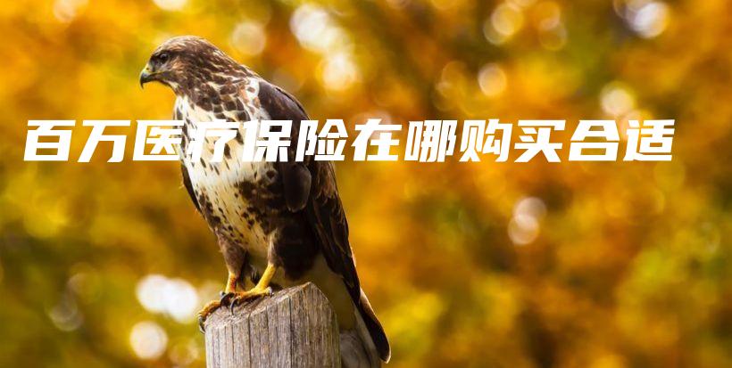 百万医疗保险在哪购买合适-保点通