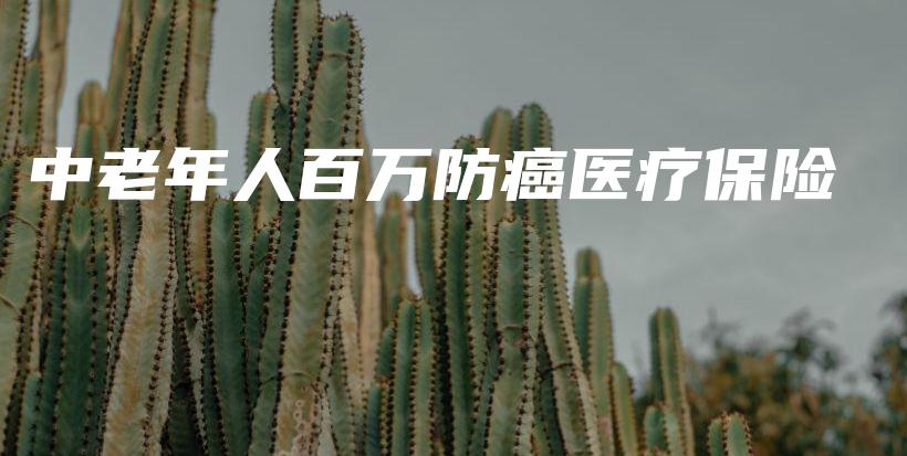 中老年人百万防癌医疗保险-保点通