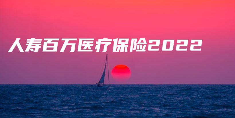 人寿百万医疗保险2022-保点通