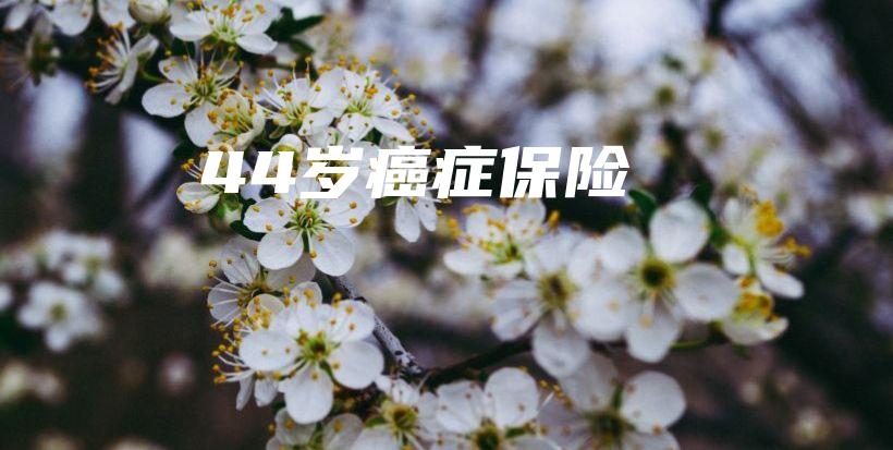 44岁癌症保险-保点通