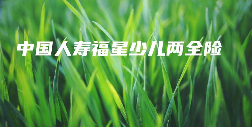中国人寿福星少儿两全险-保点通