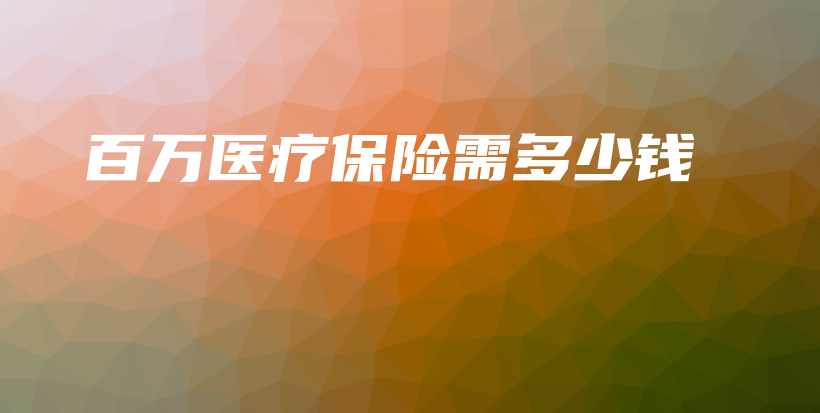 百万医疗保险需多少钱-保点通