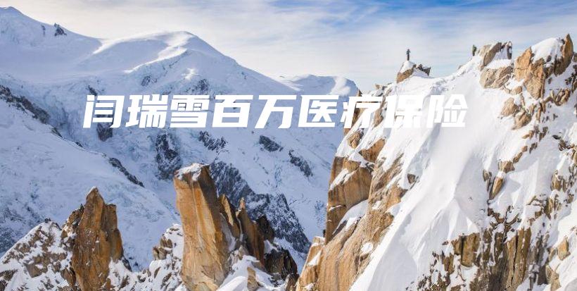 闫瑞雪百万医疗保险-保点通