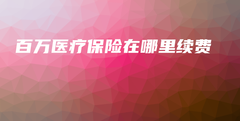 百万医疗保险在哪里续费-保点通