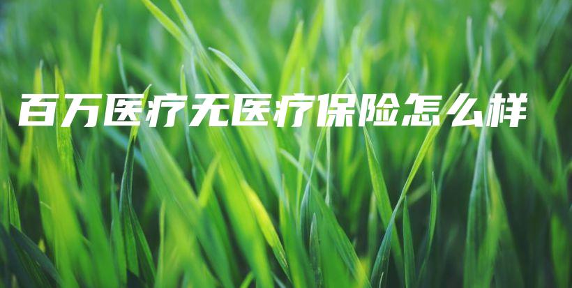 百万医疗无医疗保险怎么样-保点通