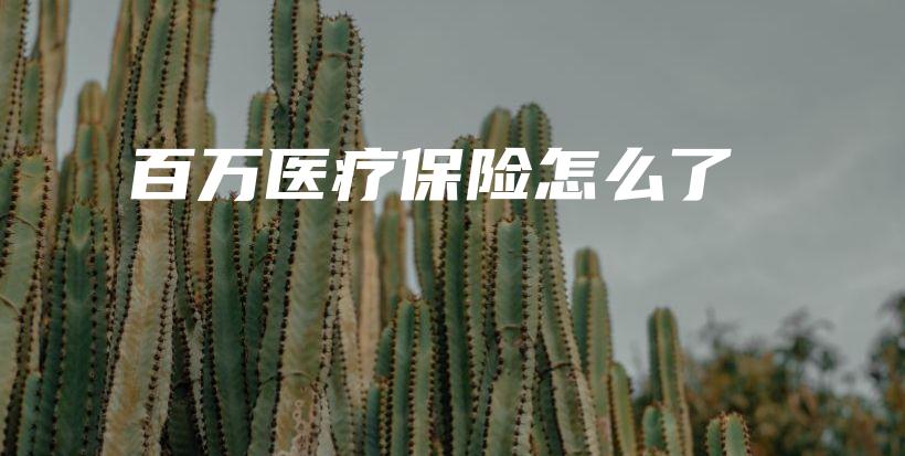 百万医疗保险怎么了-保点通