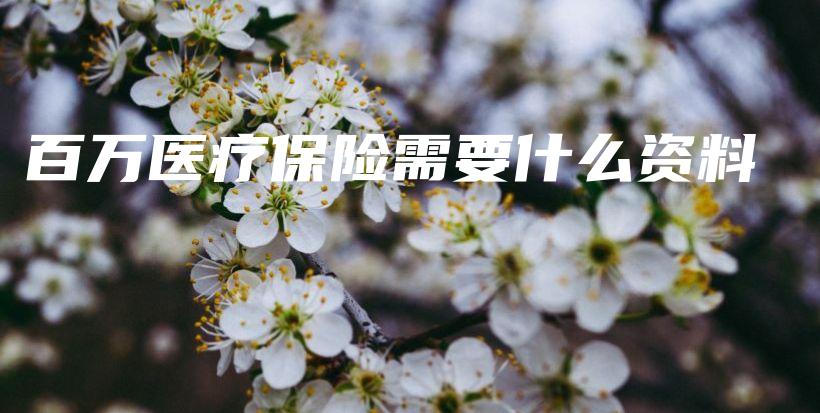 百万医疗保险需要什么资料-保点通
