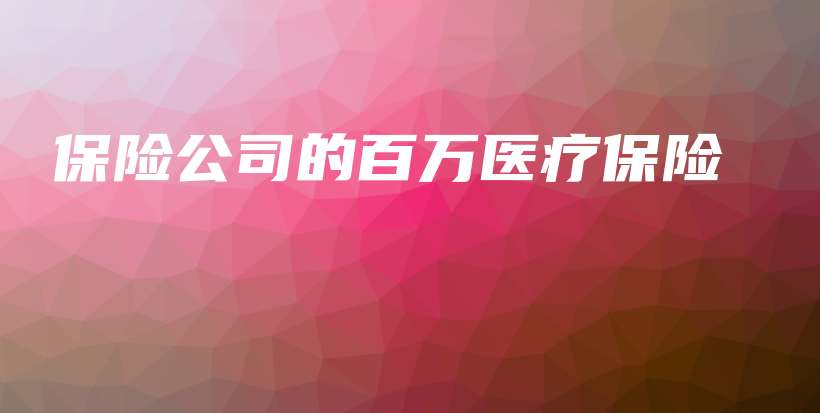 保险公司的百万医疗保险-保点通