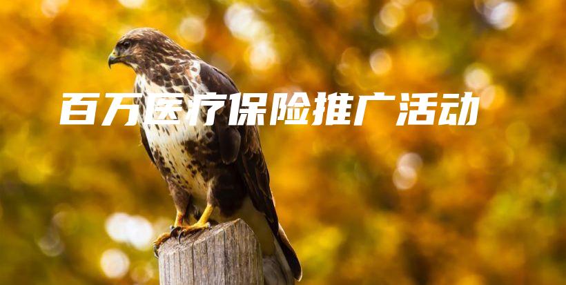 百万医疗保险推广活动-保点通