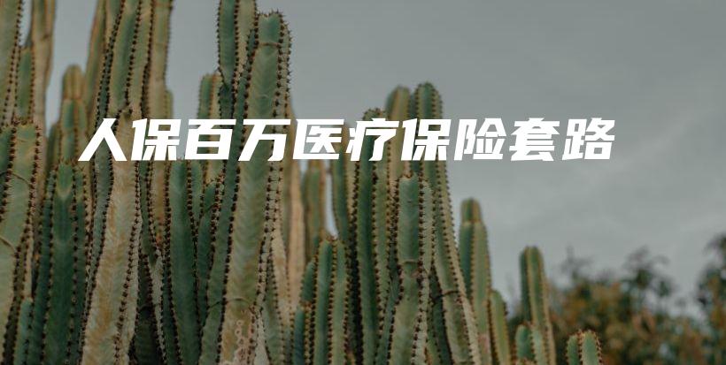 人保百万医疗保险套路-保点通