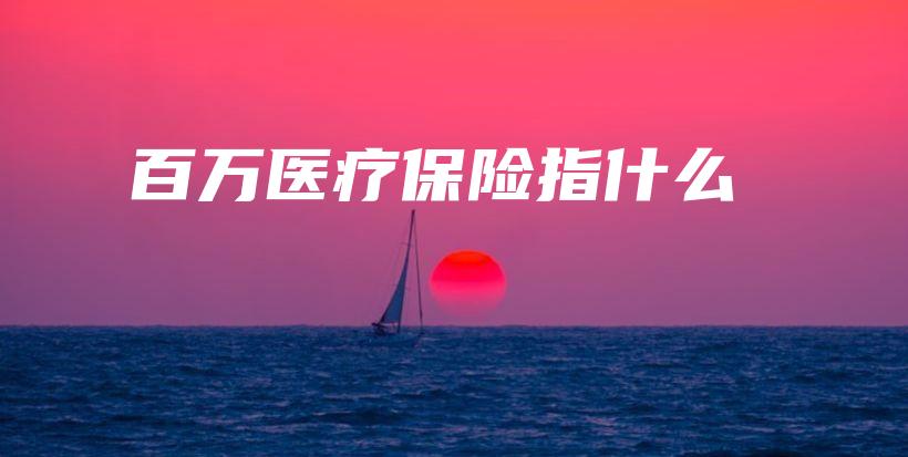 百万医疗保险指什么-保点通