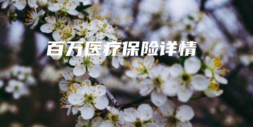 百万医疗保险详情-保点通