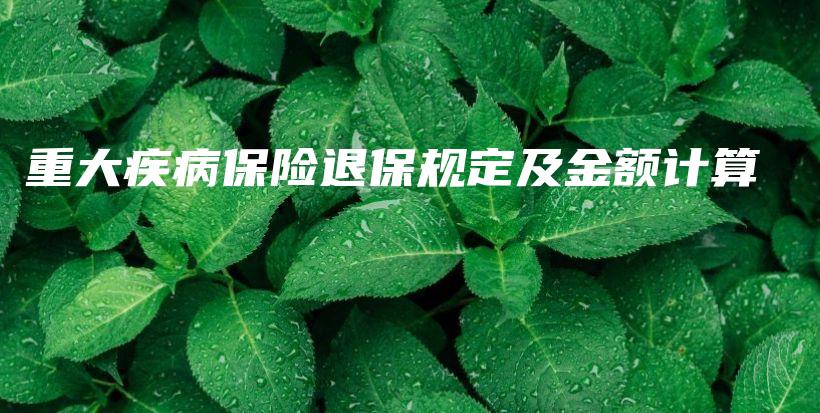 重大疾病保险退保规定及金额计算-保点通