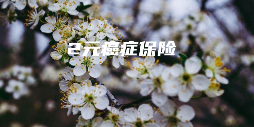 2元癌症保险-保点通