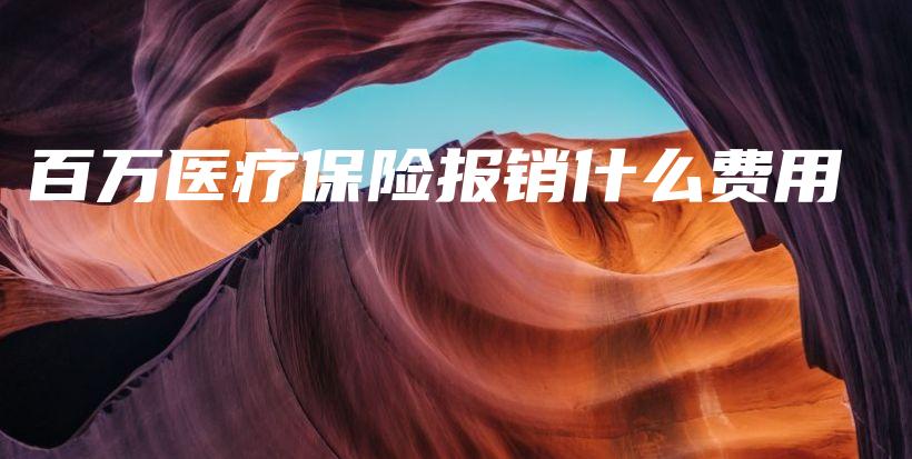 百万医疗保险报销什么费用-保点通