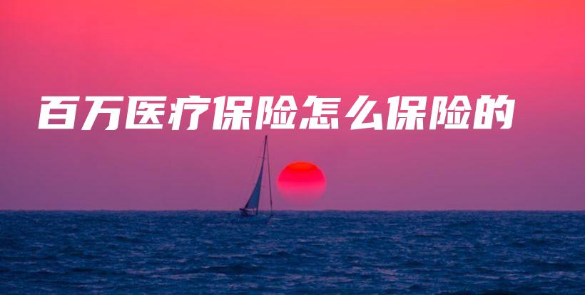 百万医疗保险怎么保险的-保点通