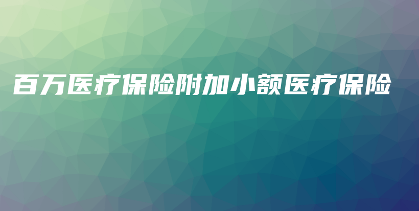 百万医疗保险附加小额医疗保险-保点通