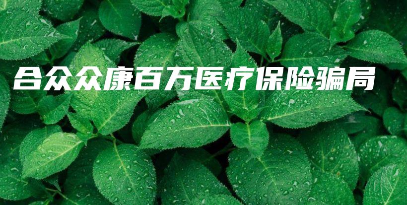 合众众康百万医疗保险骗局-保点通