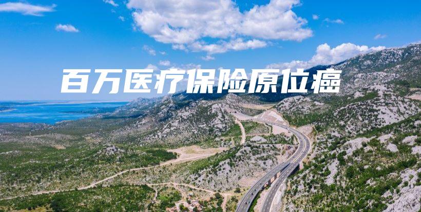 百万医疗保险原位癌-保点通